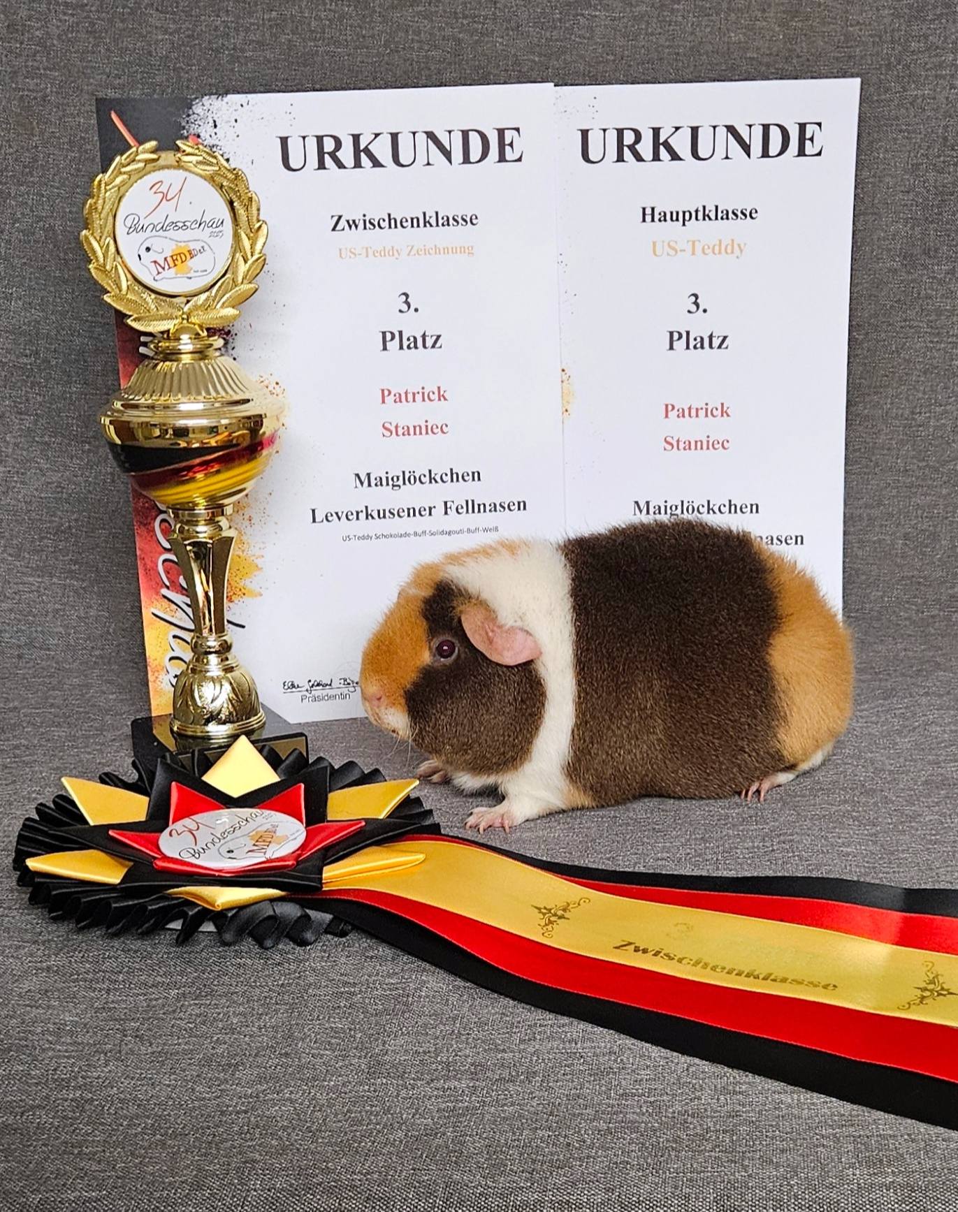 Black Penelope, Black Mamba und Black Moon von den Leverkusener Fellnasen