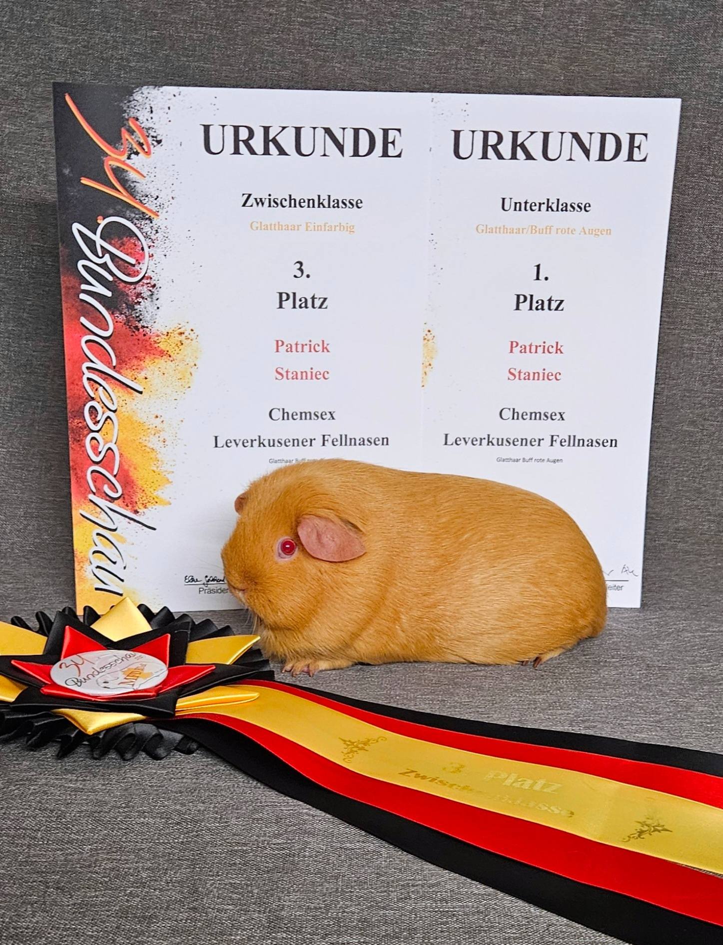 Black Penelope, Black Mamba und Black Moon von den Leverkusener Fellnasen